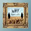 The BreakBomb Project & Ava Petrillo - Why - Single